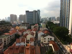 Jalan Besar Plaza (D8), Apartment #65960562